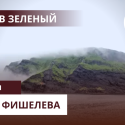 Igor_Fishelev_zelenyi_3a70bc0c829726087