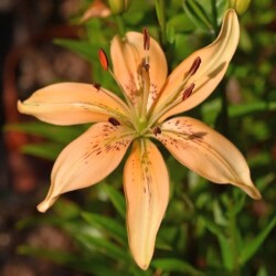 53840600649_d6d6996176_b27cd7c3e5544d938f