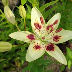 3Cmrat3_-G-5AplZF2wb-71xrEKyeBIJXU-QzteSf6yhMt_QB38x0uP6Akgc1YF-lU0dY1Cl0D-Jbo0AMSunq7TR4ec531df056cf5b3