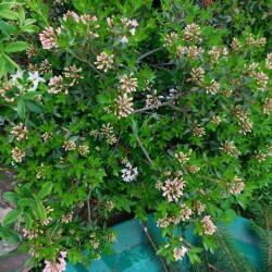 DSCN5275cc9ae4fc0113976c