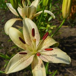 cPcBMDbUGPhlj3GnJITCEAQJnX_xcJsN7yo1j_X4GsDpZ9m4MV-_O--j3uWjro7sGrnKuGTJ0sXKibz2H5MR-yNe8b6804976e39aa62