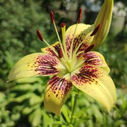 Tn_NW_Jd2fOg90BZSd0CvSFjJb6J9BvFNV1loWz7ZFaa7CDqTbhvULp60Qo_lVChyVbGQgRuE3B0LWCGefEymVFCa6672f75b5e78e01