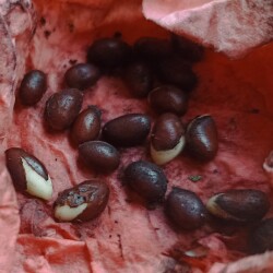 BERESKLIMG_20251110_151457fa988323596c121c