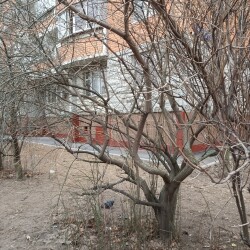 IMG_20250211_112116699a533e460d08c1