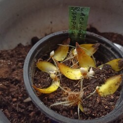 IMG_20251130_1606445aa24fceeb60f2ae