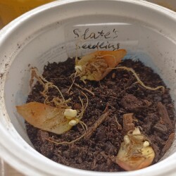 IMG_20251221_142629bd032e4a8d3e079b