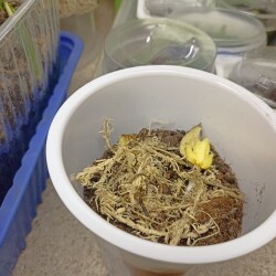 IMG_20251227_1900470b74b0604776d9bb