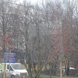 IMG_20251212_12061756c8c1a474d128ed