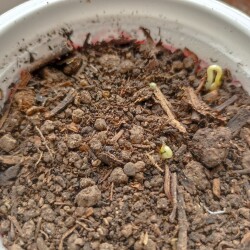 IMG_20260306_131500189037bb160f1921