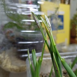 IMG_20260111_17232108e2e9bc82995a57