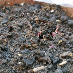 IMG_20260322_0728072267c37888493b4a