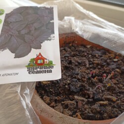 IMG_20260322_072833980f860fb4cbaeff