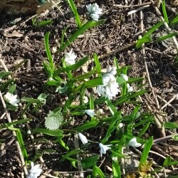 new-26-3-262e302a886f5159d8