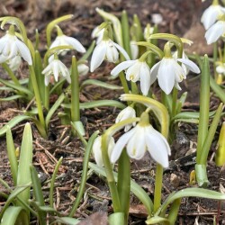 IMG_135466c4c6434d61c5df