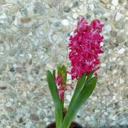 IMG_20260321_10564914d4513cdaa40210