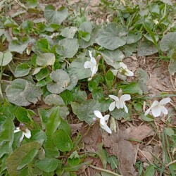 IMG_20260401_123038d53059fa04174bb5