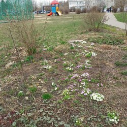 IMG_20260401_12560006b60030dd24671c