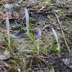 DSCN2878c4ef498cb74f8562