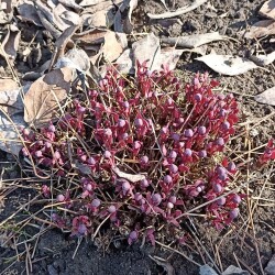 IMG_20260404_112904Kd36e5abf1a4baf20