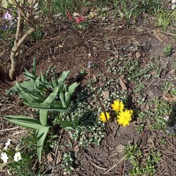 IMG_20260404_123933K4c12d8e782076122