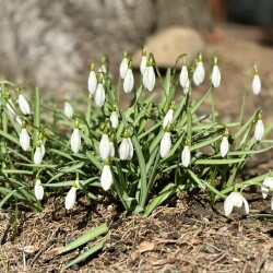 IMG_13777db48f1b9ffd64a7