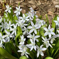 IMG_1403b7ff097935c48bab