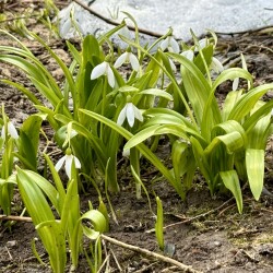 IMG_14048eb56b57399bd31a