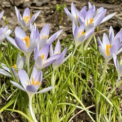 IMG_140752638759c2092489