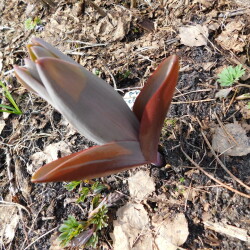 DSCN2883a7232a8620ce7743