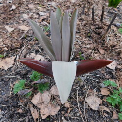 DSCN294506914e089c2d6439