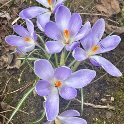 IMG_1431cedc4fb53d08d9db