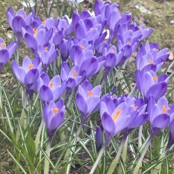 IMG_14346866fb5ca90ce6d7