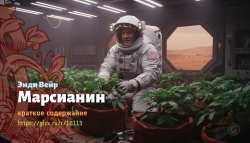 wt_marsianin-endi-veyra_181132006b33b2867e0365042.jpg