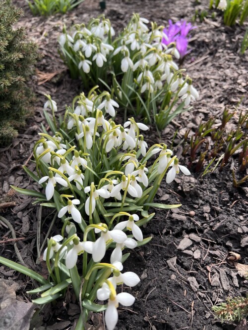 IMG_203501c473dd83e50716