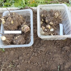 IMG_20250921_17202453915fc6e0f3a507