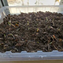 IMG_20260322_12191542f3b1acc60d2377