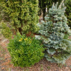 DSCN29079af367b08d35b283