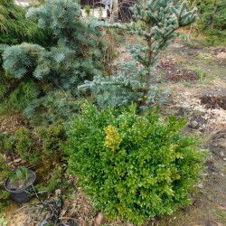 DSCN29089ee919285a289977