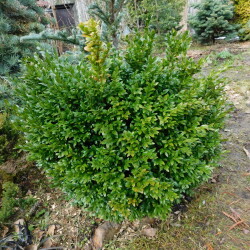 DSCN2909a74aeeddc564d2cd