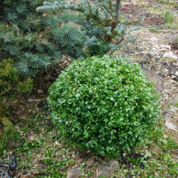 DSCN2942b4ea6243f1e46f39