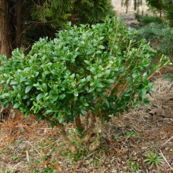 DSCN29433d60679cc185a922