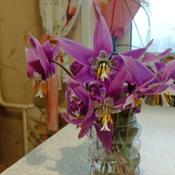 IMG_20260419_1914063c4924c12270b0b6