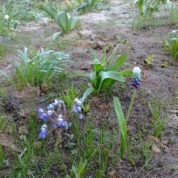 IMG_20260422_063253a44ce40e7b3dffbc