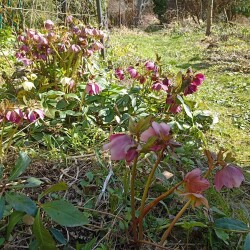 IMG_20260422_14545757d4559b663e97bc