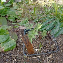 IMG_20260422_15585064a9565572805061