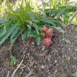 IMG_20260422_162225e5e8629c864491db