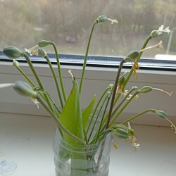 IMG_20260424_105733f0827194179d886c