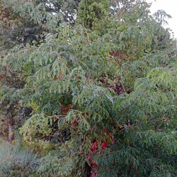 IMG_20240827_1931350b46e9fdbc7b8838