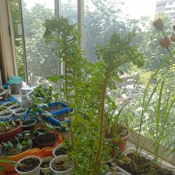 IMG_20250610_1531520b6011172342cf1e