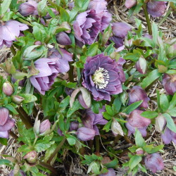 DSCN29833584e80496289b34